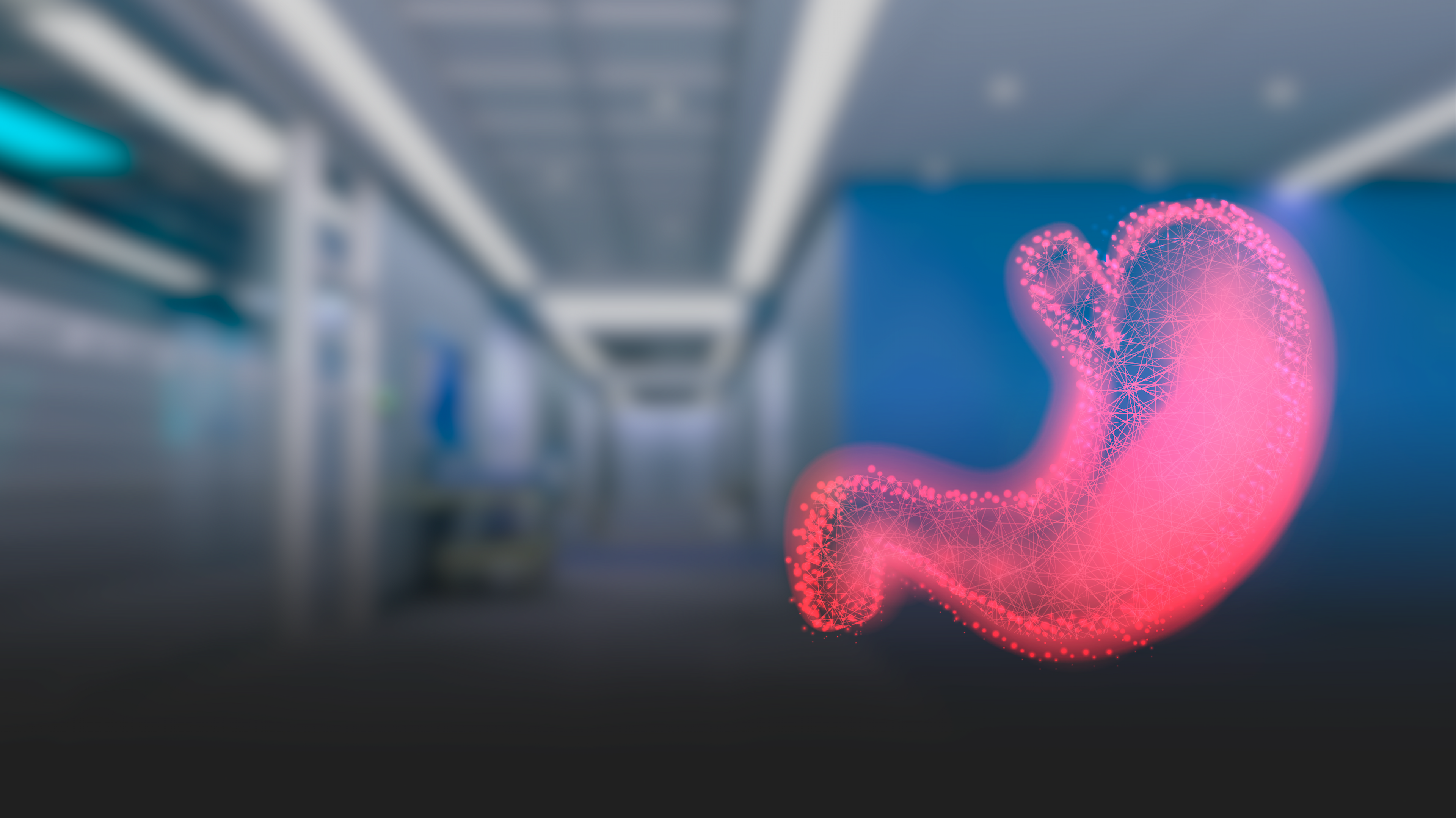 More than twenty years of experience More than twenty years of experience